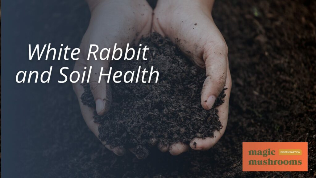 White Rabbit and Soil Health