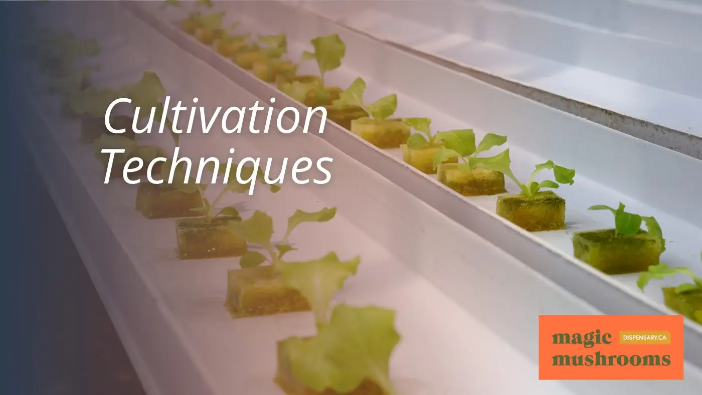 Cultivation Techniques Cultivation Techniques