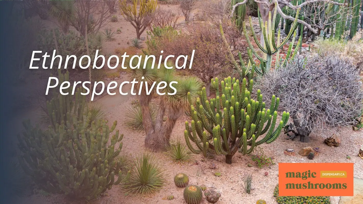 Ethnobotanical Perspectives