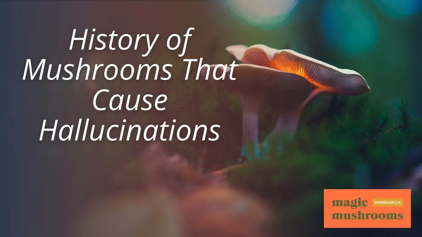 History of Mushrooms That Cause Hallucinations