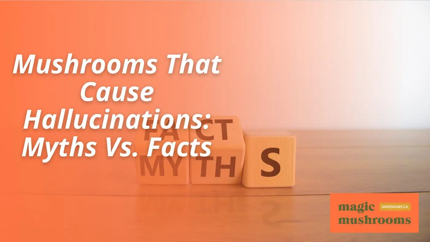 Mushrooms That Cause Hallucinations Myths Vs. Facts