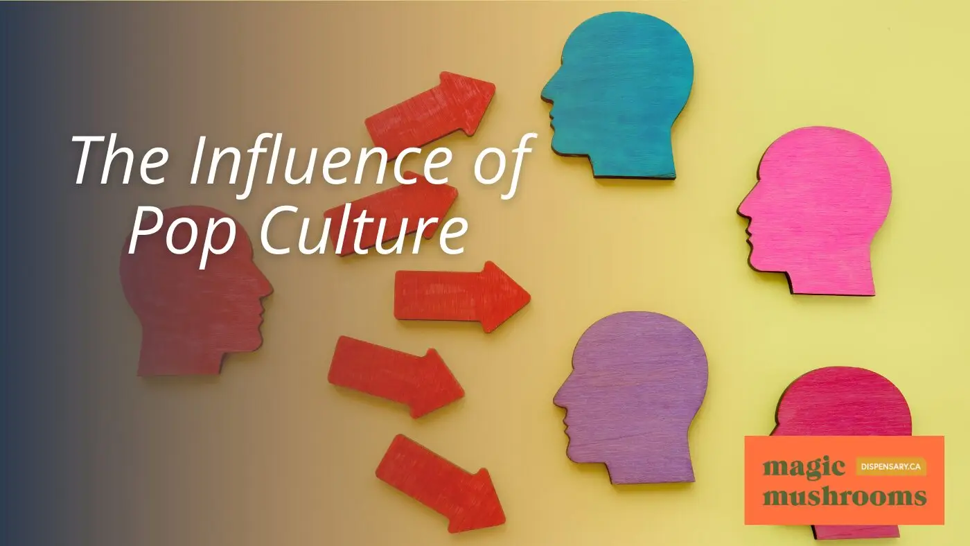 The Influence of Pop Culture