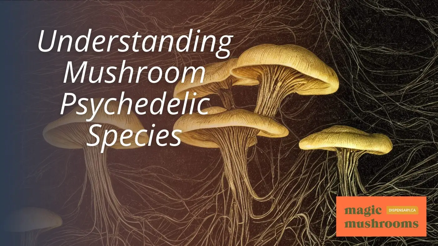Understanding Mushroom Psychedelic Species Understanding Mushroom Psychedelic Species