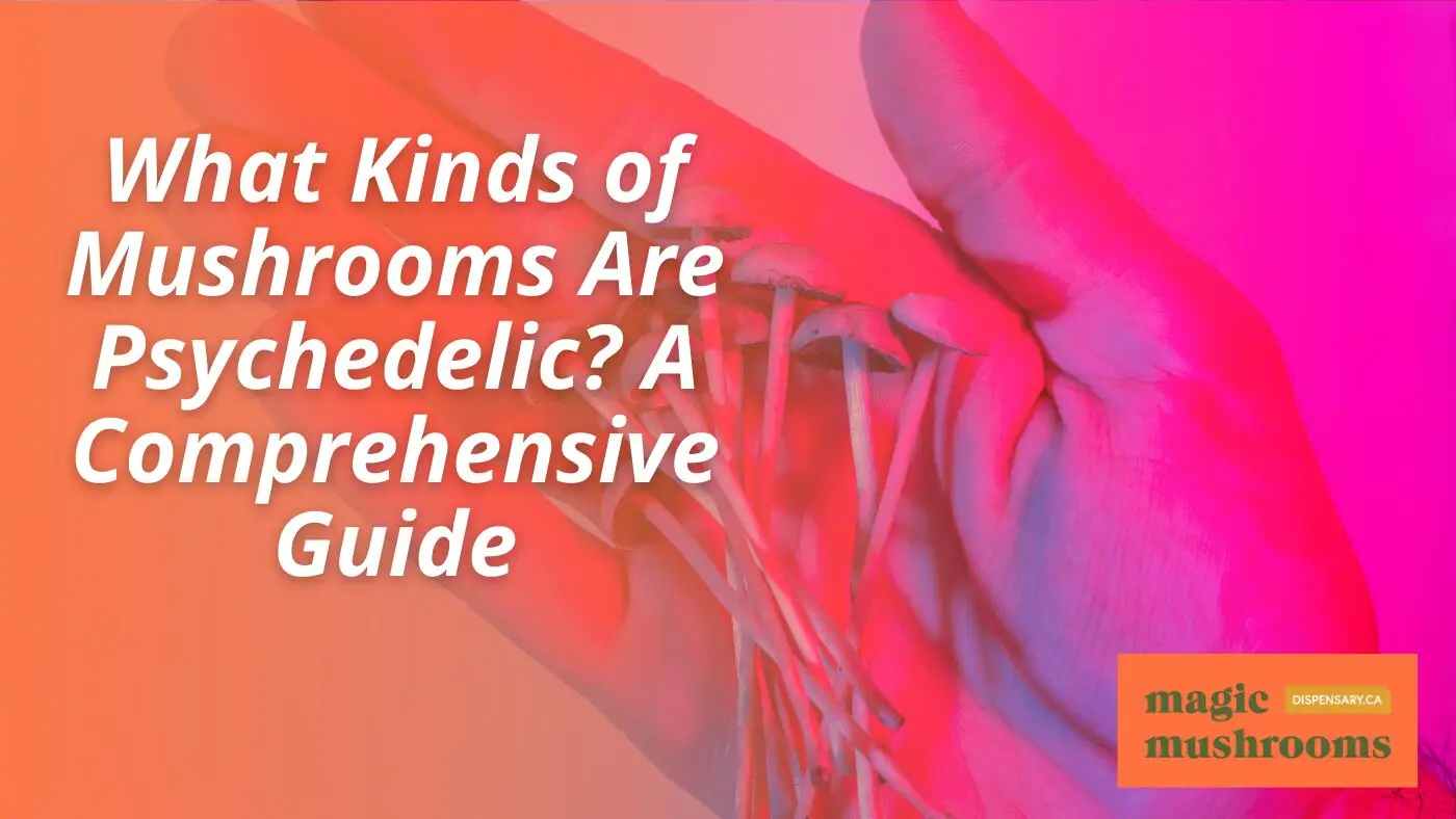 What Kinds of Mushrooms Are Psychedelic A Comprehensive Guide