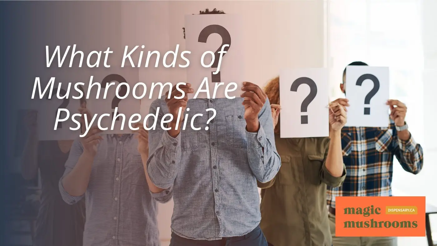 What Kinds of Mushrooms Are Psychedelic
