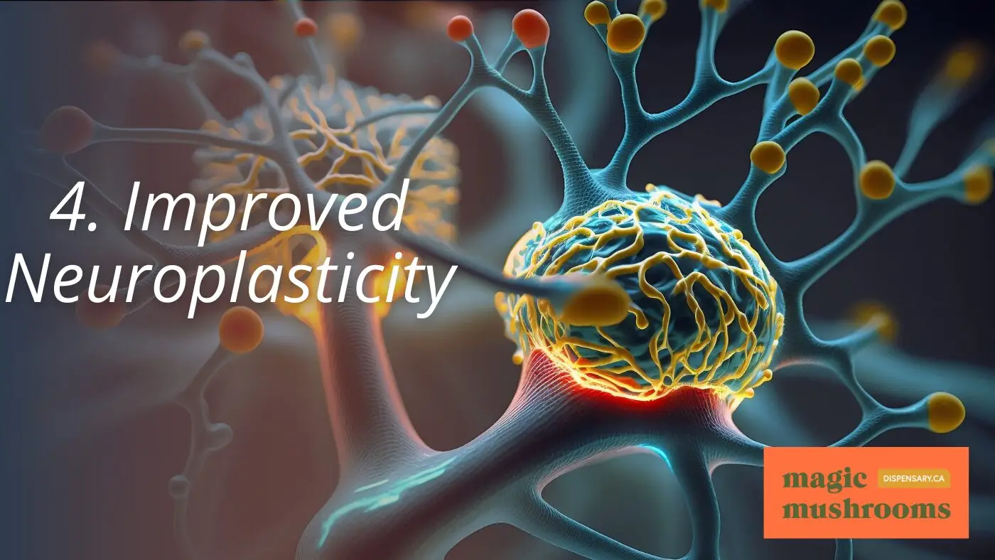 4. Improved Neuroplasticity 4. Improved Neuroplasticity