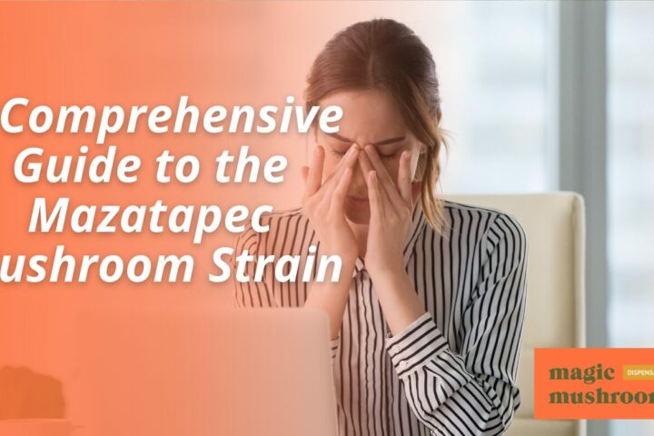 A Comprehensive Guide to the Mazatapec Mushroom Strain