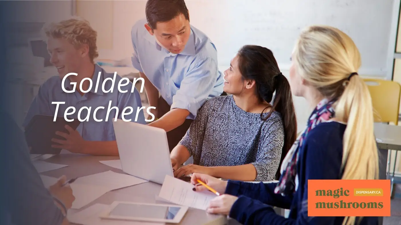 Golden Teachers Golden Teachers