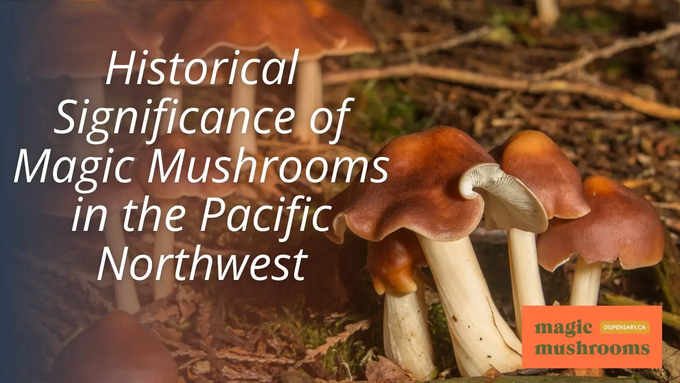 Historical Significance of Magic Mushrooms in the Pacific Northwest Historical Significance of Magic Mushrooms in the Pacific Northwest