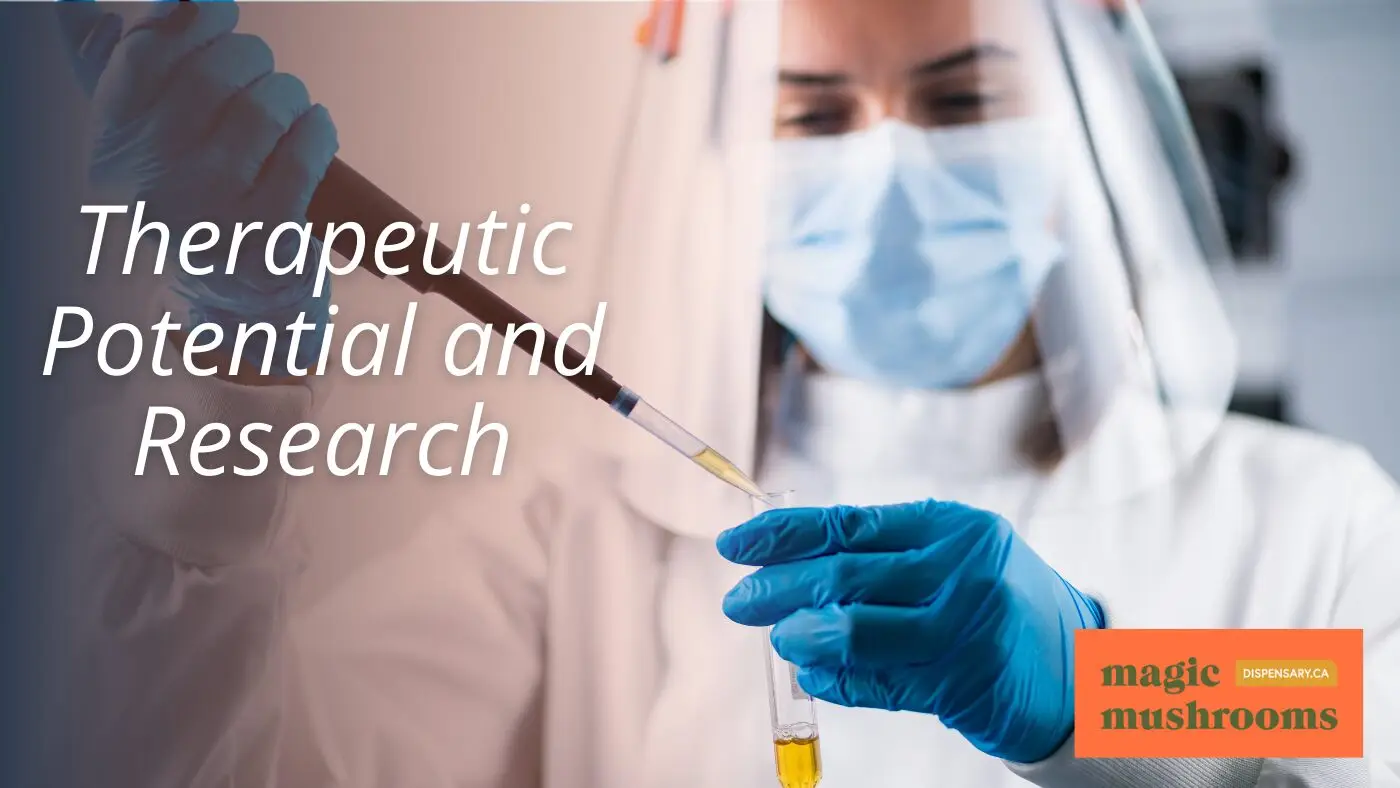 Therapeutic Potential and Research Therapeutic Potential and Research