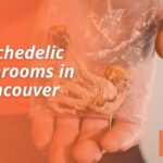 Psychedelic Mushrooms in Vancouver