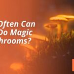 How Often Can You Do Magic Mushrooms