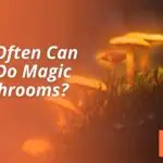How Often Can You Do Magic Mushrooms