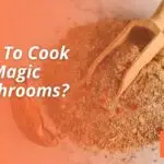 How To Cook Magic Mushrooms