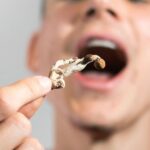 How Long Do Magic Mushrooms Lasts