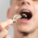 How Long Do Magic Mushrooms Lasts